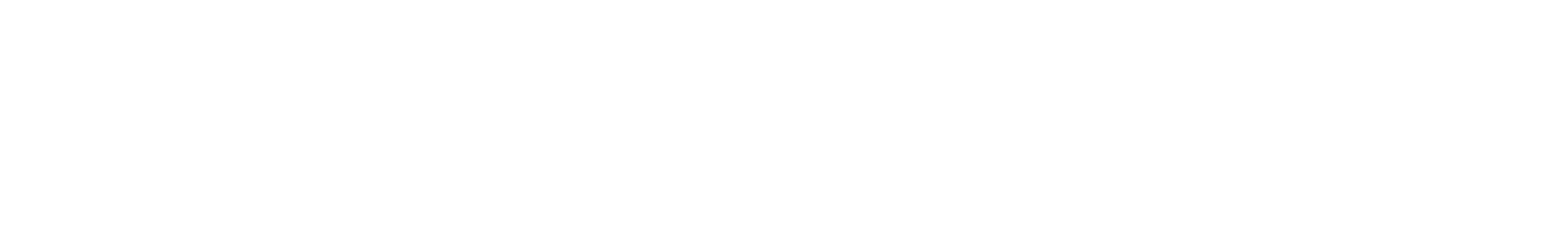 logo dssi